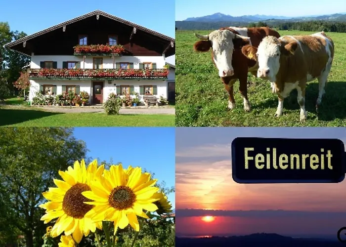 Fembacherhof *