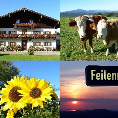 Fembacherhof *